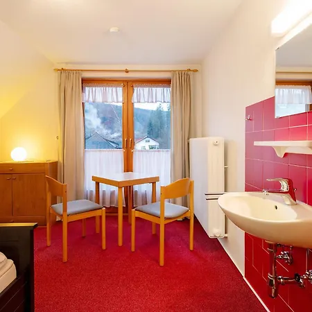 Haus Johanna Apartment Todtmoos